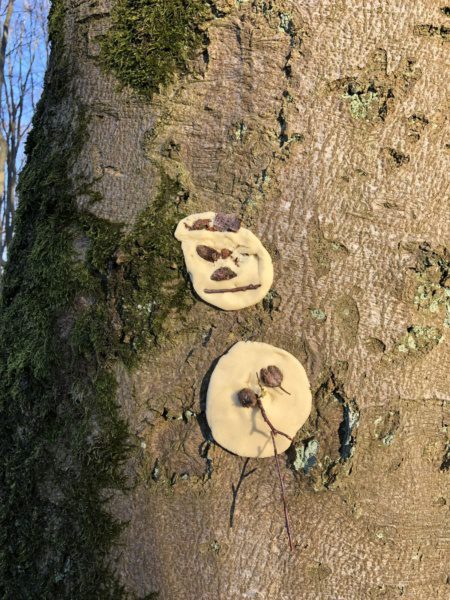 Offenes Waldtreffen vom 04.03.2022 | 8 Offenes Waldtreffen vom 04.03.2022 | 7