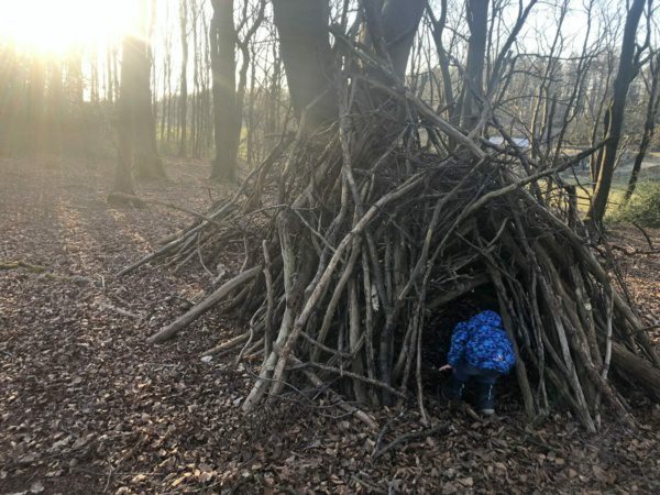 Offenes Waldtreffen vom 04.03.2022 | 4 Offenes Waldtreffen vom 04.03.2022 | 3