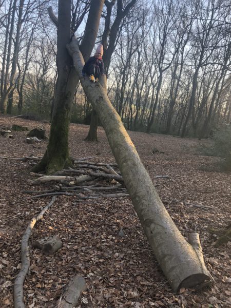 Offenes Waldtreffen vom 04.03.2022 | 22 Offenes Waldtreffen vom 04.03.2022 | 21