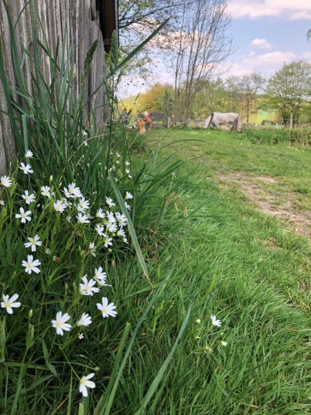 Eltern-Kind-Gruppe (April 2022) | 17